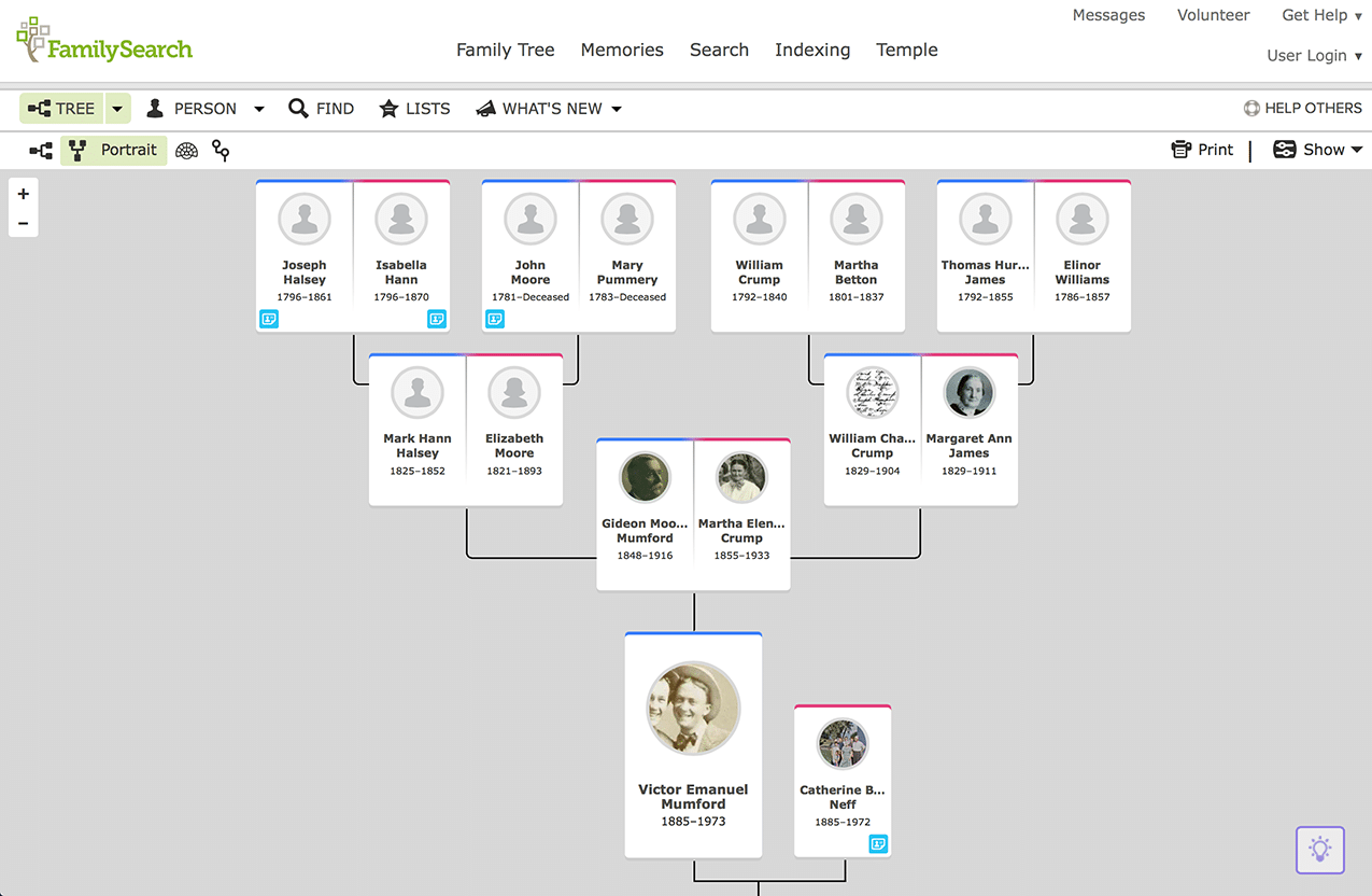 family tree software